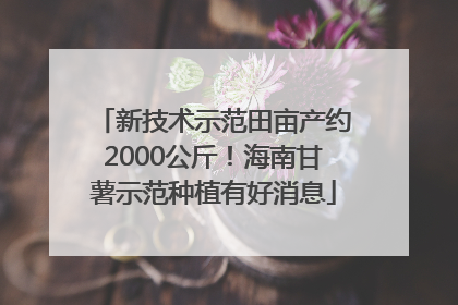 新技术示范田亩产约2000公斤！海南甘薯示范种植有好消息