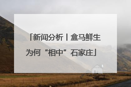 新闻分析丨盒马鲜生为何“相中”石家庄