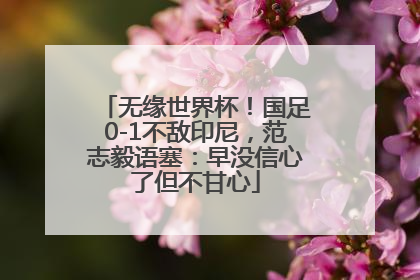 无缘世界杯！国足0-1不敌印尼，范志毅语塞：早没信心了但不甘心
