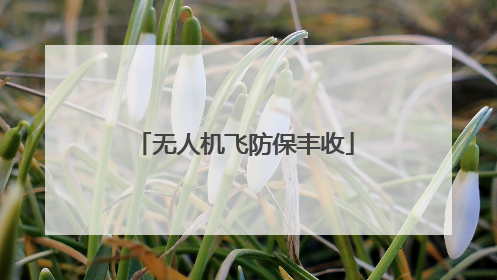 无人机飞防保丰收