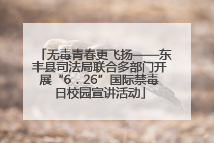 无毒青春更飞扬——东丰县司法局联合多部门开展“6．26”国际禁毒日校园宣讲活动