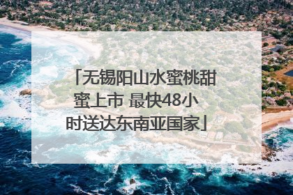 无锡阳山水蜜桃甜蜜上市 最快48小时送达东南亚国家