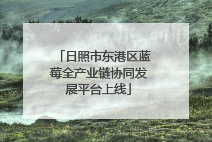 日照市东港区蓝莓全产业链协同发展平台上线