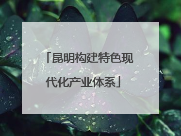 昆明构建特色现代化产业体系