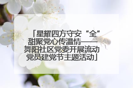 星耀四方守安“全” 甜聚党心传温情——舞阳社区党委开展流动党员建党节主题活动