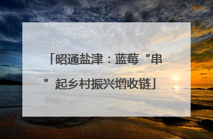 昭通盐津：蓝莓“串”起乡村振兴增收链