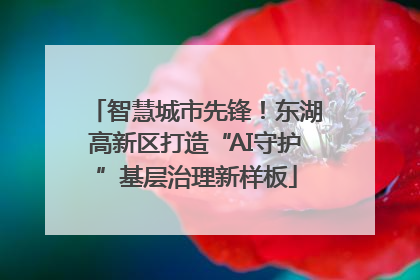 智慧城市先锋！东湖高新区打造“AI守护”基层治理新样板