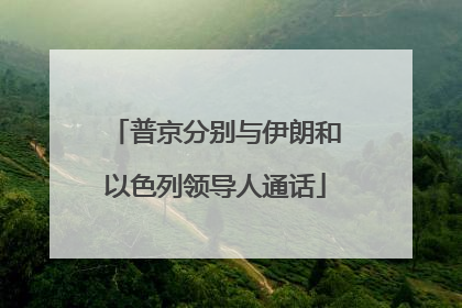 普京分别与伊朗和以色列领导人通话