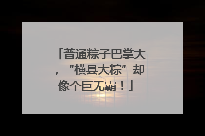 普通粽子巴掌大，“横县大粽”却像个巨无霸！