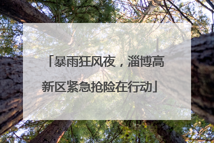 暴雨狂风夜，淄博高新区紧急抢险在行动