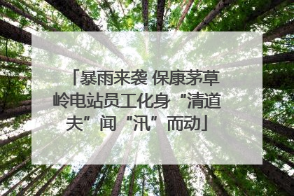 暴雨来袭 保康茅草岭电站员工化身“清道夫”闻“汛”而动