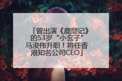 曾出演《鹿鼎记》的53岁“小玄子”马浚伟升职！将任香港知名公司CEO