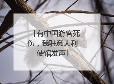 有中国游客死伤，我驻意大利使馆发声