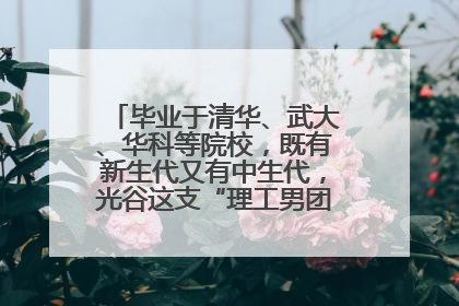 毕业于清华、武大、华科等院校，既有新生代又有中生代，光谷这支“理工男团”为何“出道”？