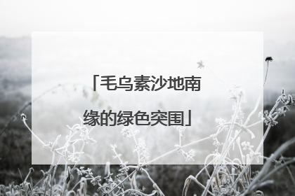 毛乌素沙地南缘的绿色突围