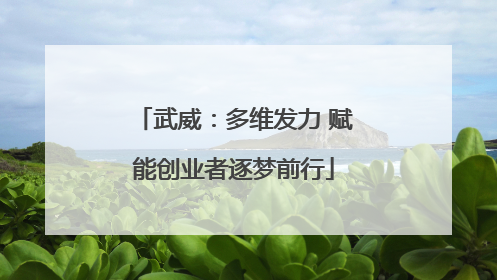 武威：多维发力 赋能创业者逐梦前行