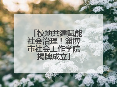校地共建赋能社会治理！淄博市社会工作学院揭牌成立