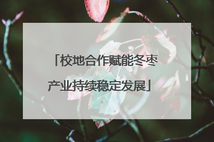 校地合作赋能冬枣产业持续稳定发展