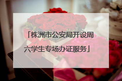 株洲市公安局开设周六学生专场办证服务