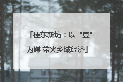 桂东新坊：以“豆”为媒 带火乡域经济