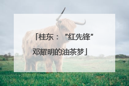 桂东：“红先锋”邓耀明的油茶梦