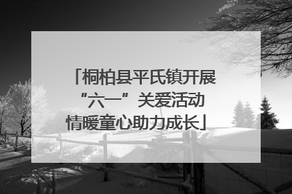 桐柏县平氏镇开展“六一”关爱活动 情暖童心助力成长
