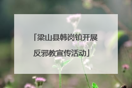 梁山县韩岗镇开展反邪教宣传活动