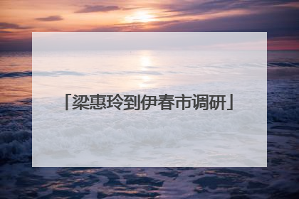 梁惠玲到伊春市调研
