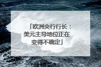 欧洲央行行长：美元主导地位正在变得不确定