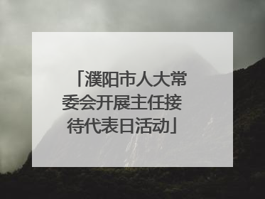 濮阳市人大常委会开展主任接待代表日活动