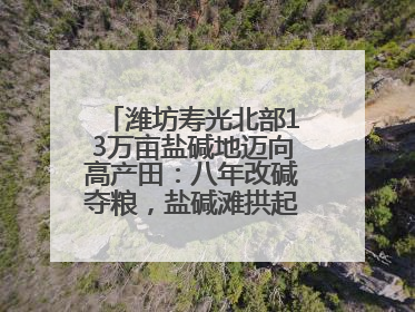 潍坊寿光北部13万亩盐碱地迈向高产田：八年改碱夺粮，盐碱滩拱起“金粮仓”