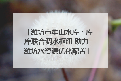 潍坊市牟山水库：库库联合调水枢纽 助力潍坊水资源优化配置
