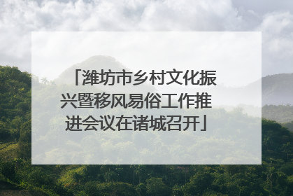潍坊市乡村文化振兴暨移风易俗工作推进会议在诸城召开