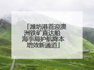 潍坊港首迎澳洲铁矿直达船 海事局护航降本增效新通道