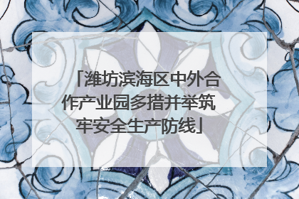 潍坊滨海区中外合作产业园多措并举筑牢安全生产防线