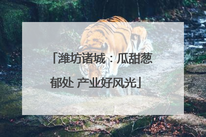潍坊诸城：瓜甜葱郁处 产业好风光