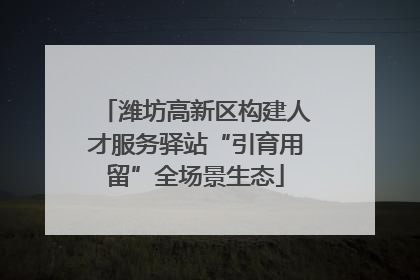 潍坊高新区构建人才服务驿站“引育用留”全场景生态