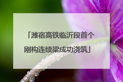 潍宿高铁临沂段首个刚构连续梁成功浇筑