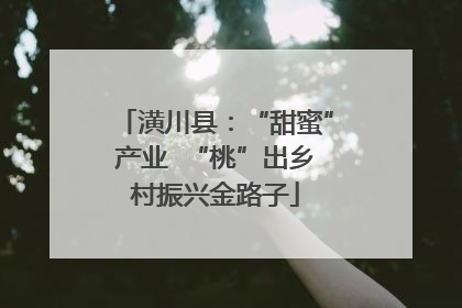 潢川县：“甜蜜”产业  “桃”出乡村振兴金路子