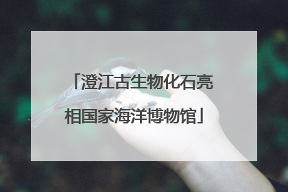 澄江古生物化石亮相国家海洋博物馆