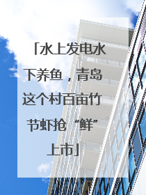 水上发电水下养鱼，青岛这个村百亩竹节虾抢“鲜”上市