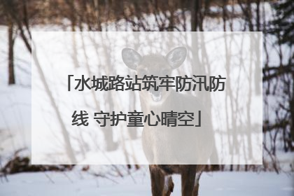 水城路站筑牢防汛防线 守护童心晴空