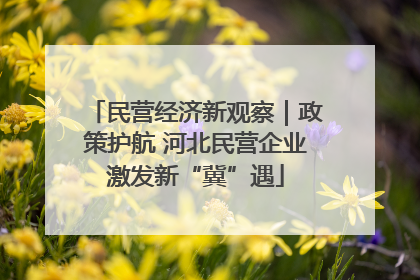 民营经济新观察｜政策护航 河北民营企业激发新“冀”遇
