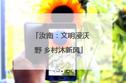 汝南：文明浸沃野 乡村沐新风