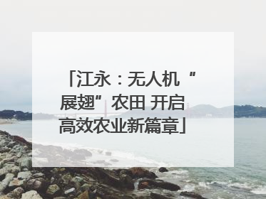 江永：无人机“展翅”农田 开启高效农业新篇章