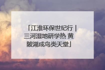 江淮环保世纪行｜三河湿地研学热 黄陂湖成鸟类天堂