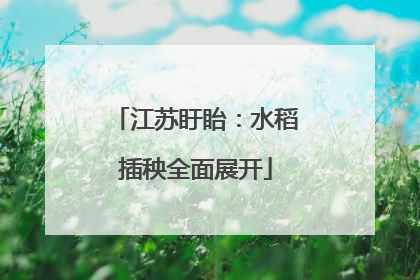 江苏盱眙：水稻插秧全面展开
