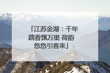 江苏金湖：千年藕香飘万里 荷韵悠悠引客来