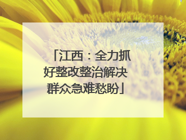江西：全力抓好整改整治解决群众急难愁盼