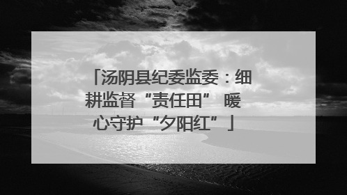 汤阴县纪委监委：细耕监督“责任田” 暖心守护“夕阳红”